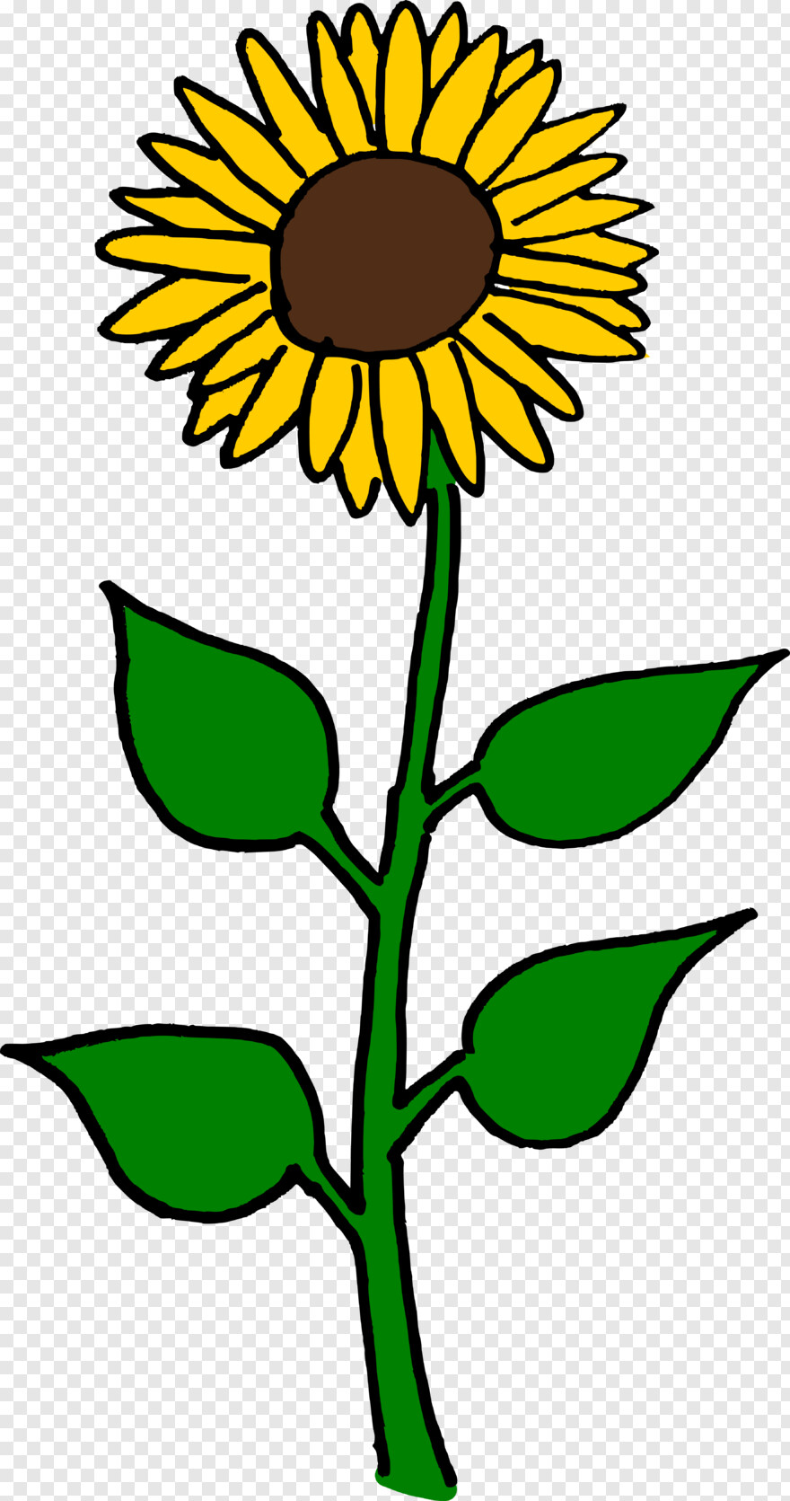 sunflower-vector # 472140