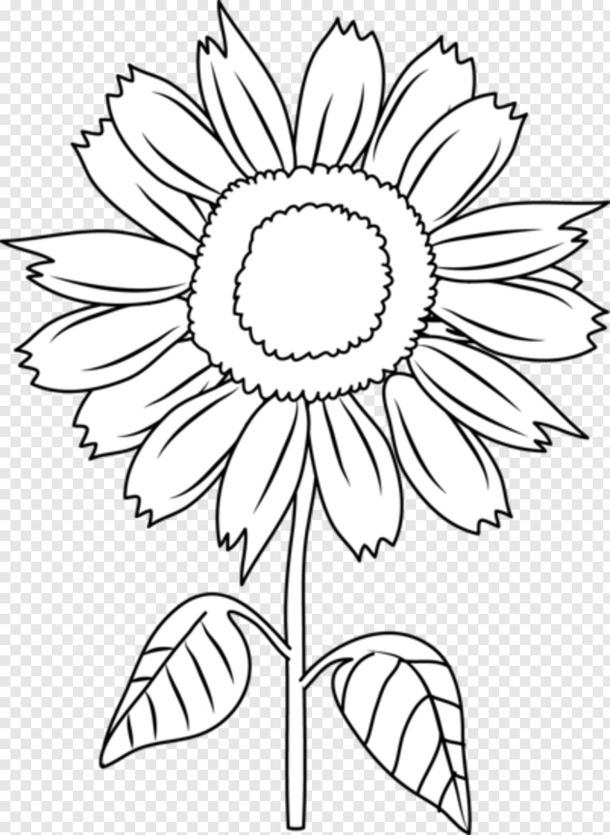 sunflower-vector # 355998