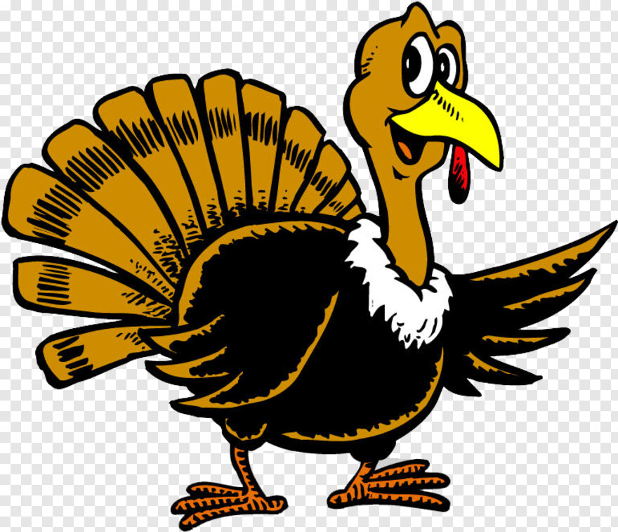 thanksgiving-turkey # 397654