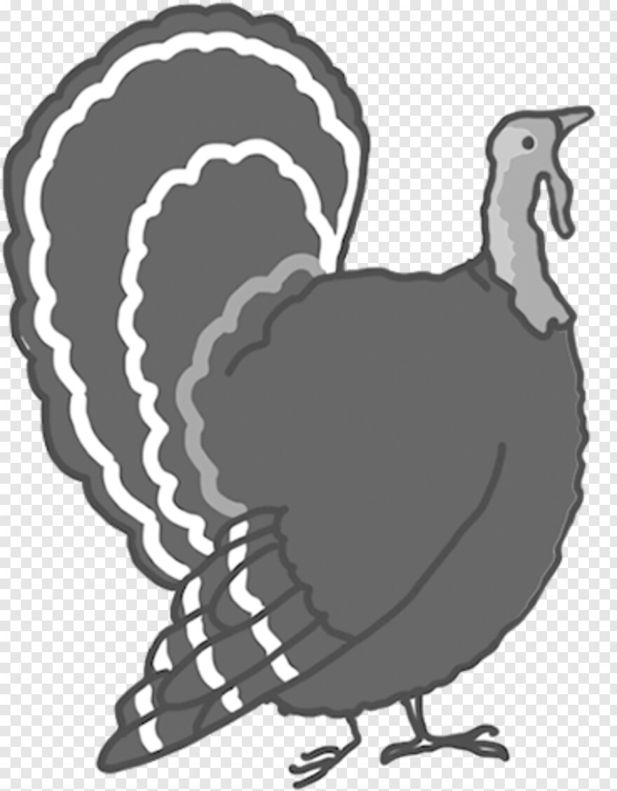 thanksgiving-turkey # 884440
