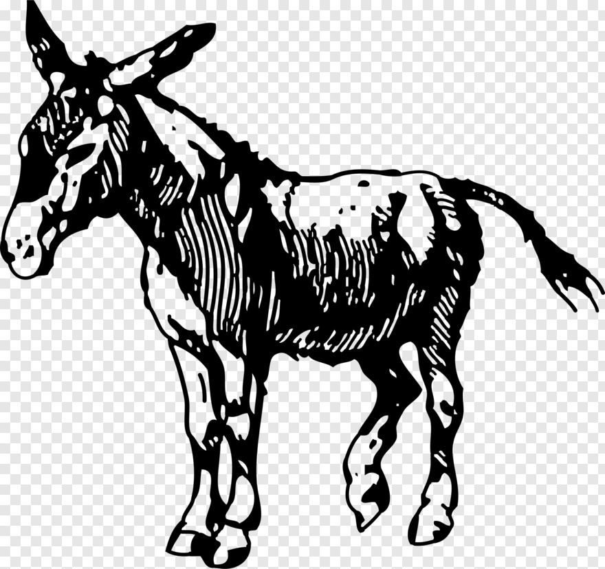 donkey # 366813
