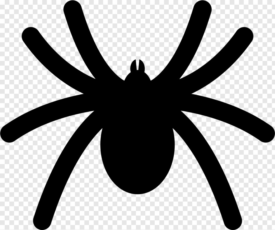 black-widow-spider # 1105254