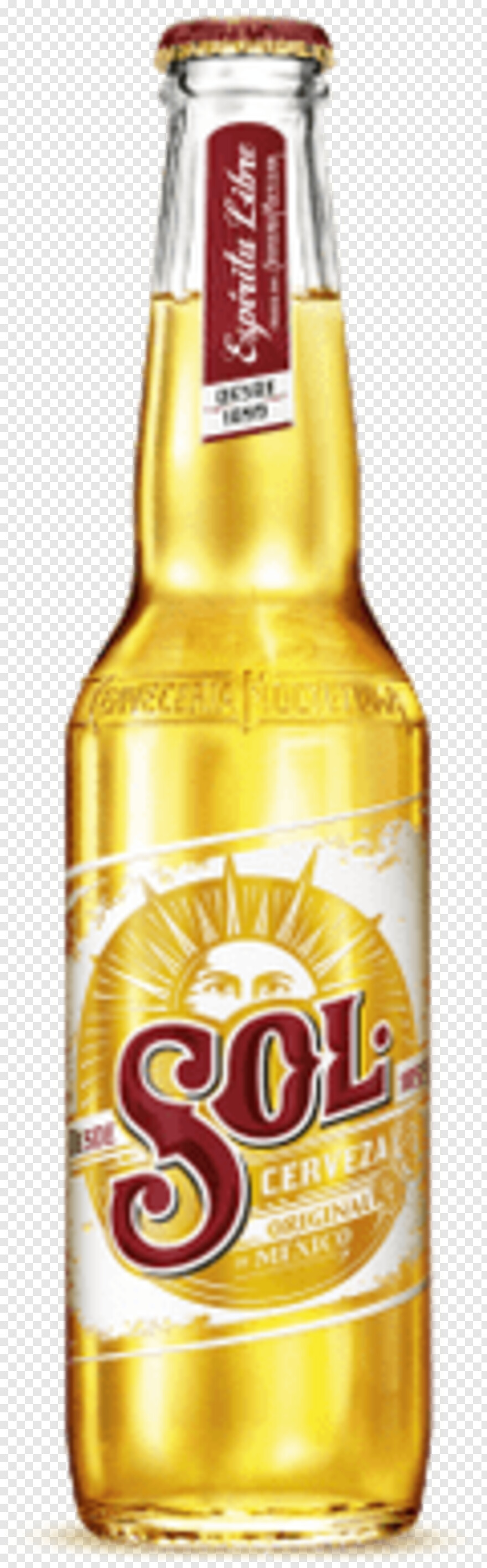 kingfisher-beer # 380904