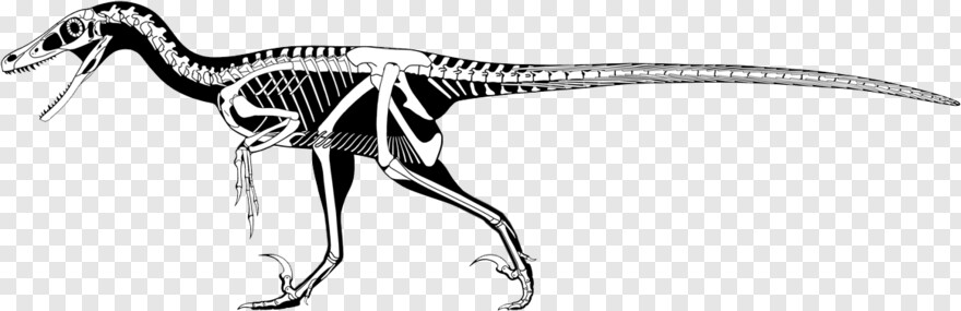  Velociraptor, Skeleton Key, Skeleton Head, Skeleton Hand, Travis Scott, Skeleton