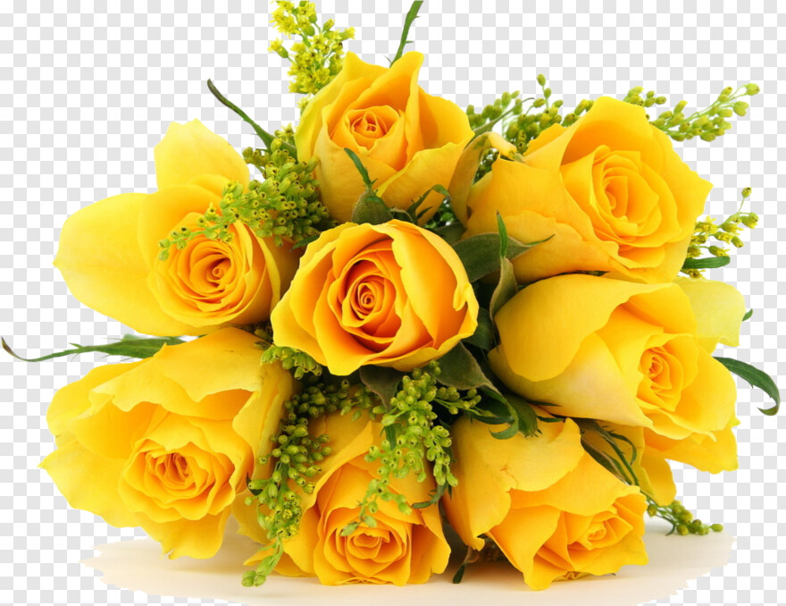 yellow-flowers # 323642