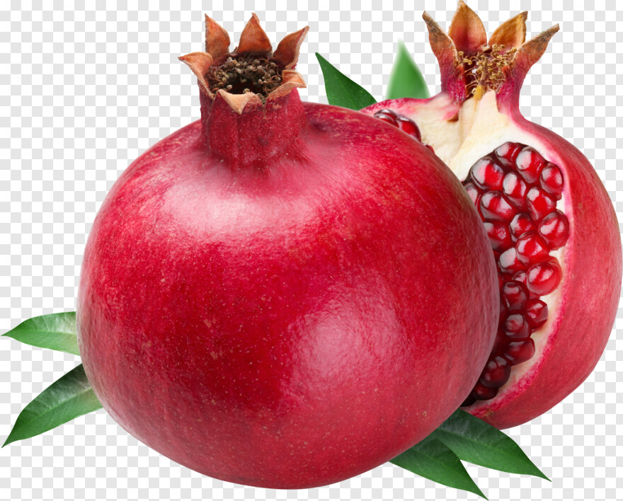 pomegranate # 329943