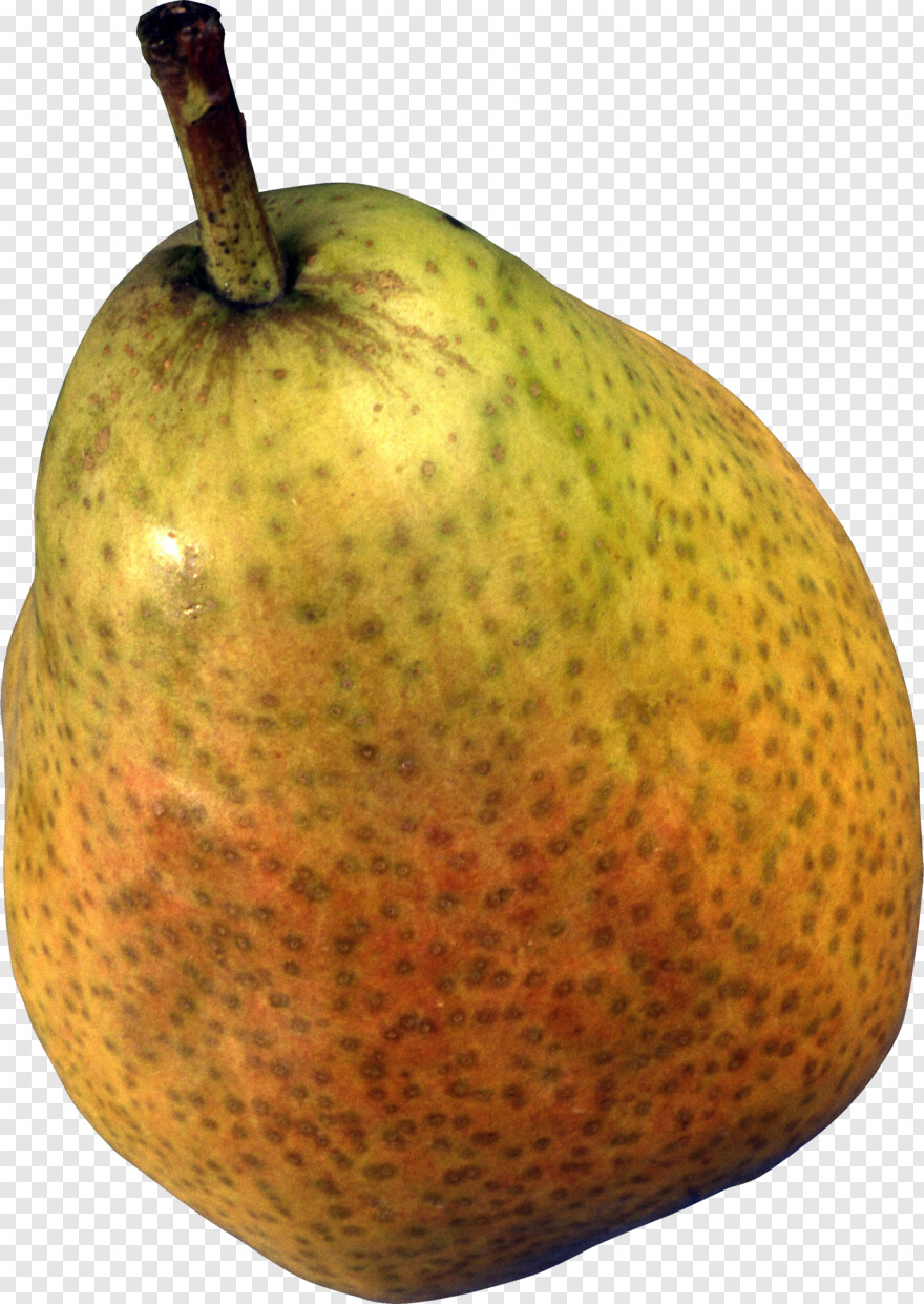 pear # 678654