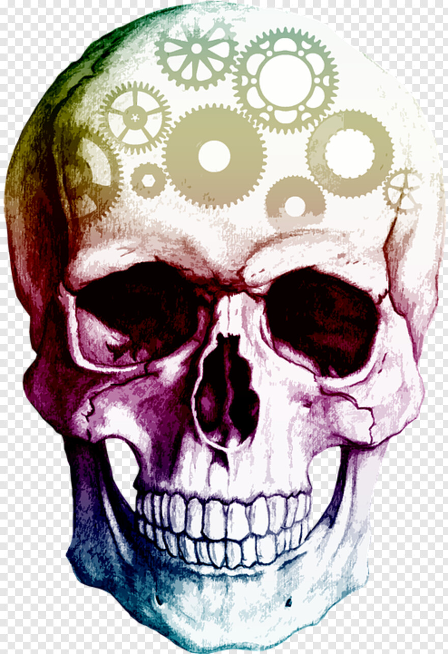  Pirate Skull, Skull And Crossbones, Bull Skull, Black Skull, Skull Tattoo, Skull Drawing