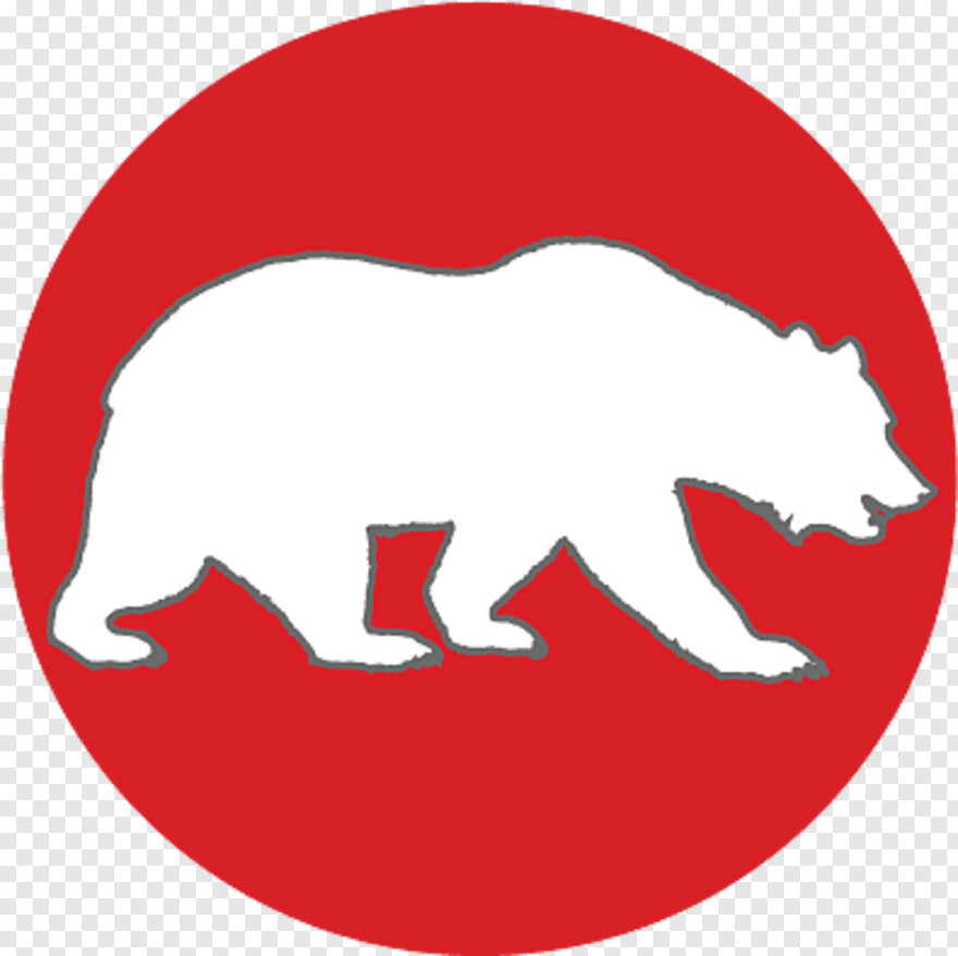 california-bear # 387392