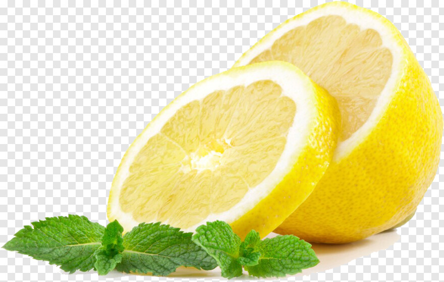 lemon-slice # 429140
