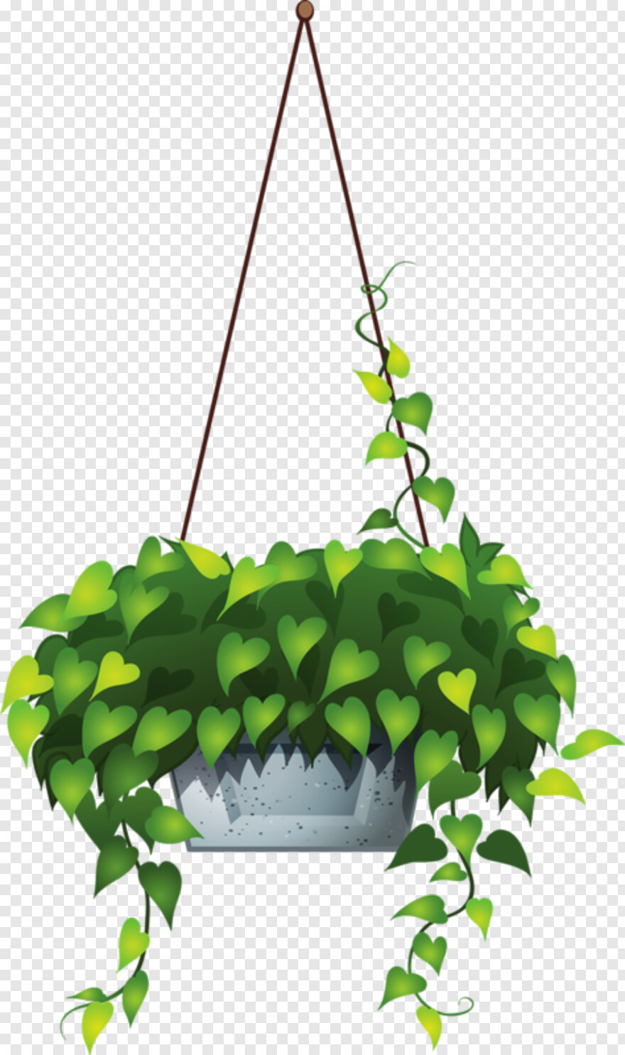 hanging-plant # 824041