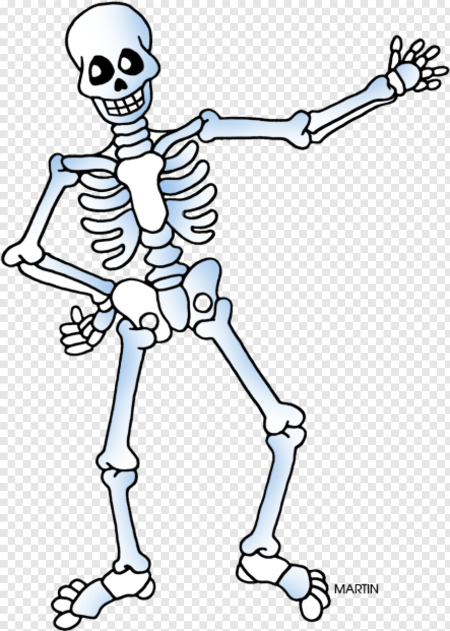  Skeleton, Skeleton Arm, Skeleton Hand, Skeleton Head, Skeleton Key