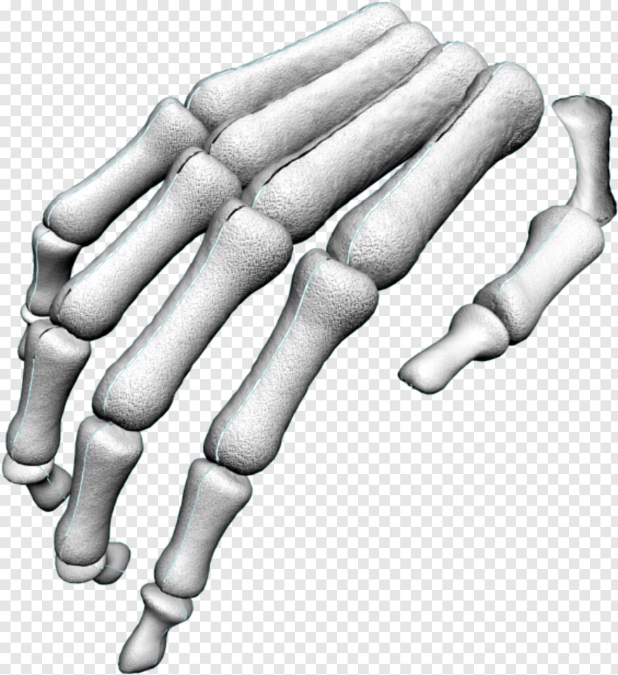 skeleton-hand # 486610