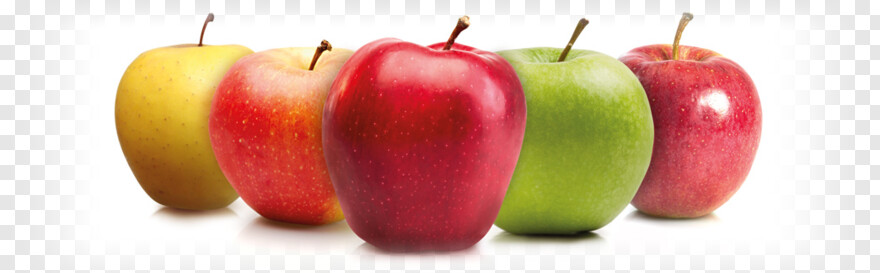 apple-logo # 500633