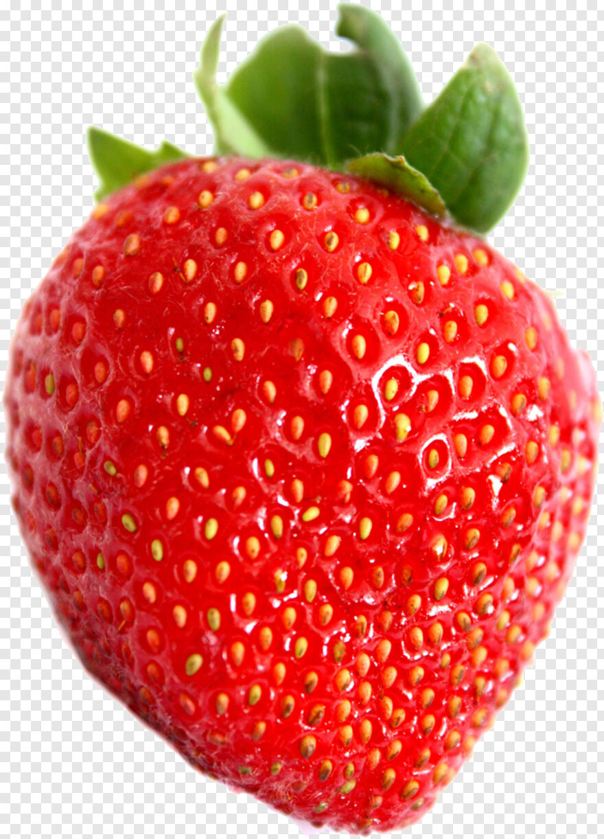 strawberry-shortcake # 892722