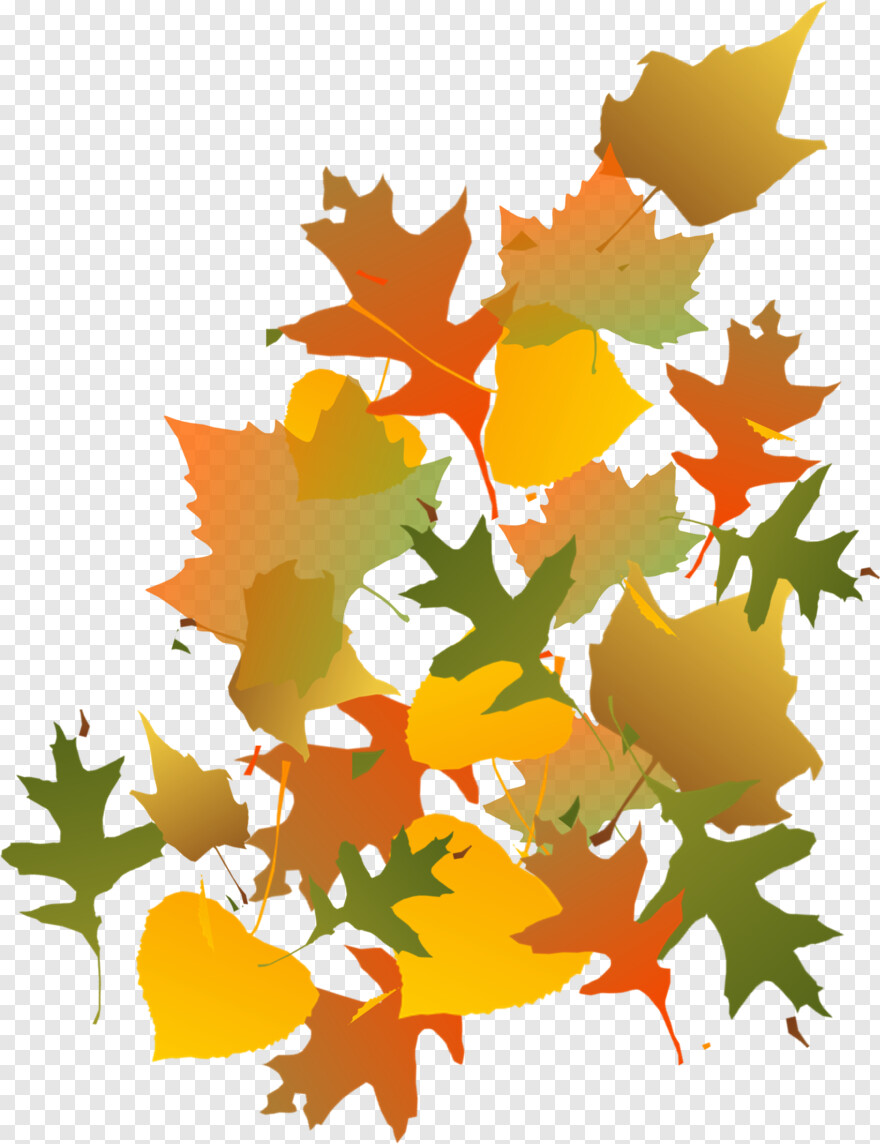 fall-leaves # 441868