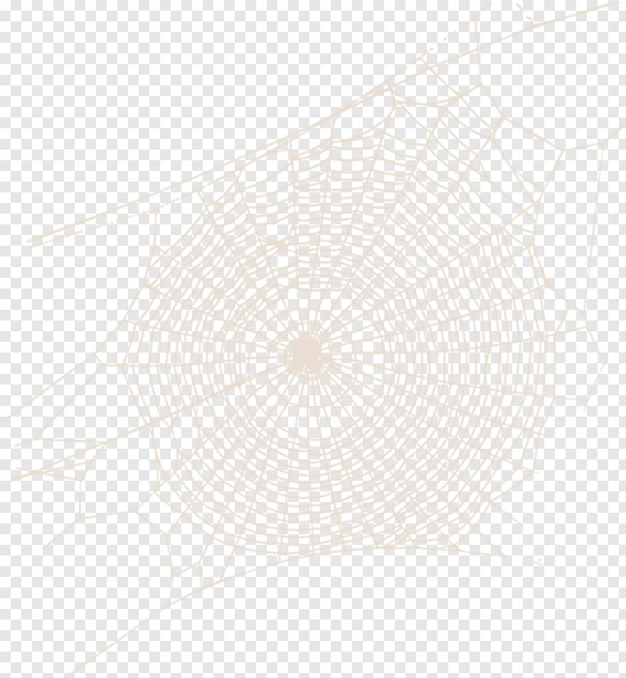 spider-web-transparent-background # 614288