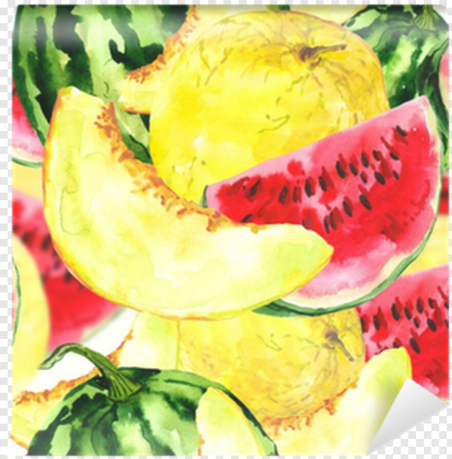 watermelon-slice # 429120