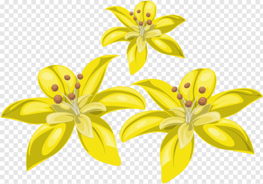 yellow-flowers # 824757