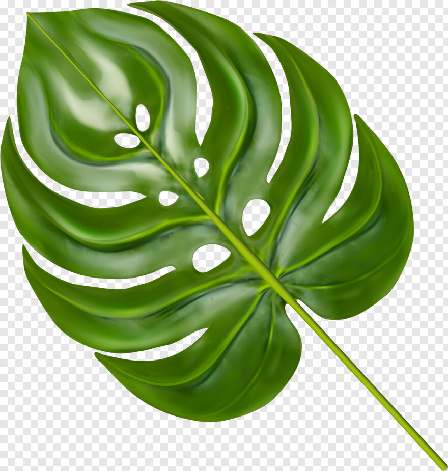 green-leaf # 315243