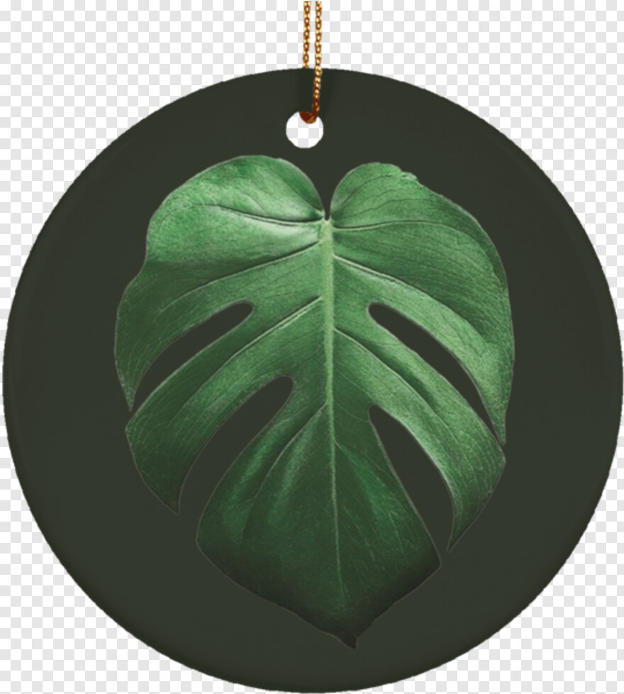 tropical-leaf # 1043067