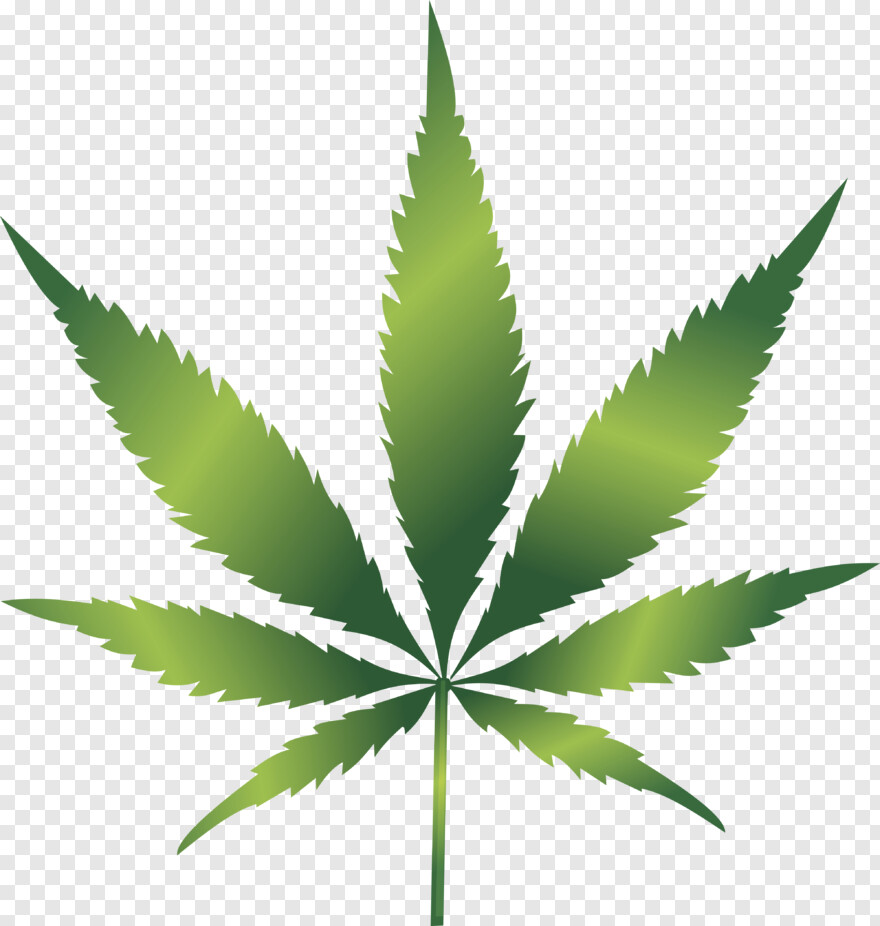 cannabis-leaf # 480164