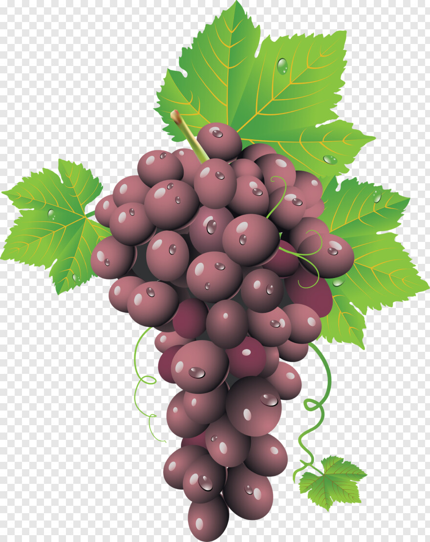 grape-juice # 786920