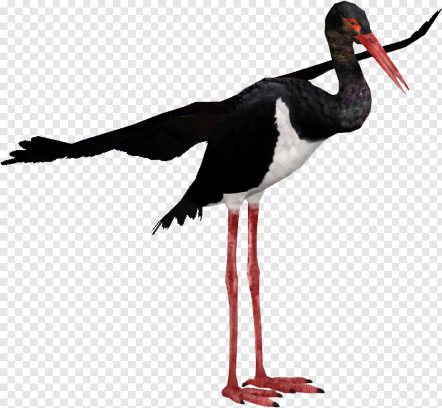 stork # 610367