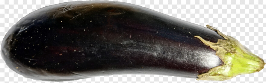eggplant # 871577