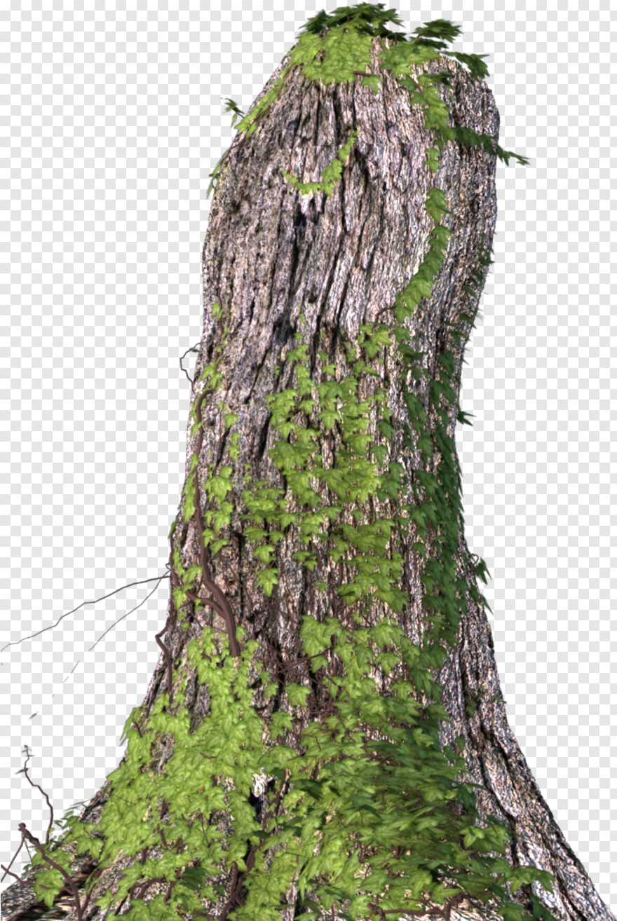 tree-stump # 461159