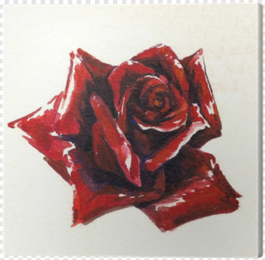 red-rose # 633930