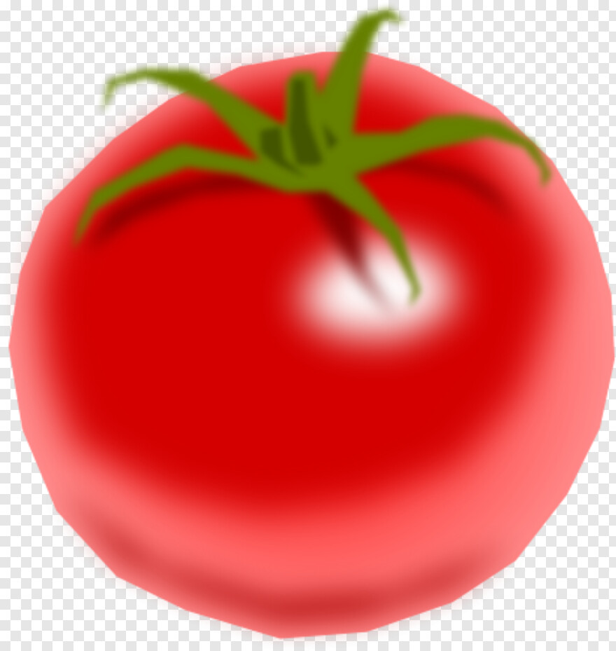 tomato-slice # 601315