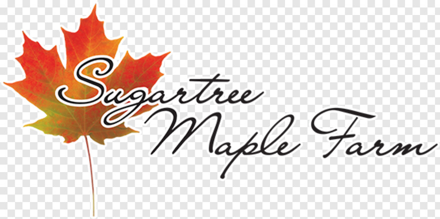 maple-leaf # 844438