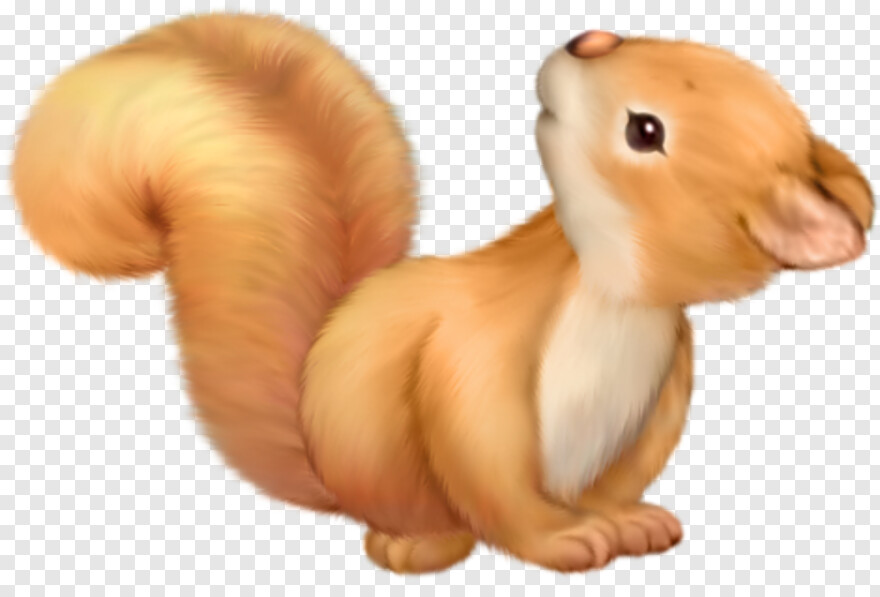 squirrel # 1000518