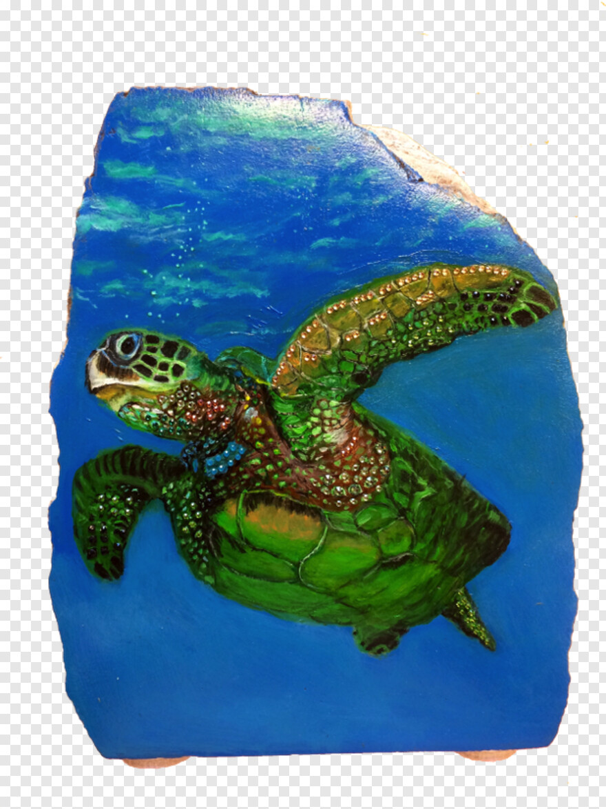 sea-turtle # 626522