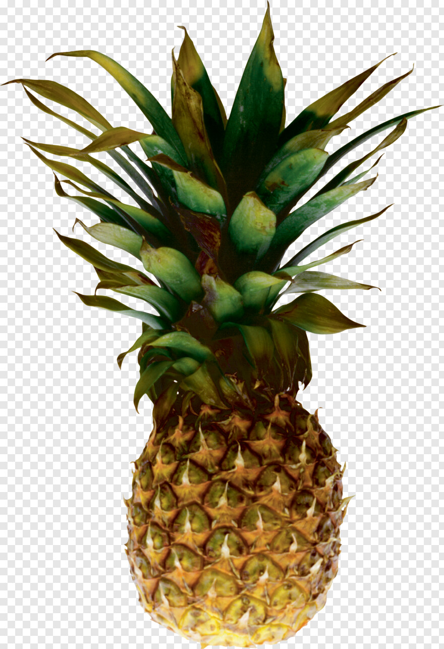 pineapple-juice # 429145