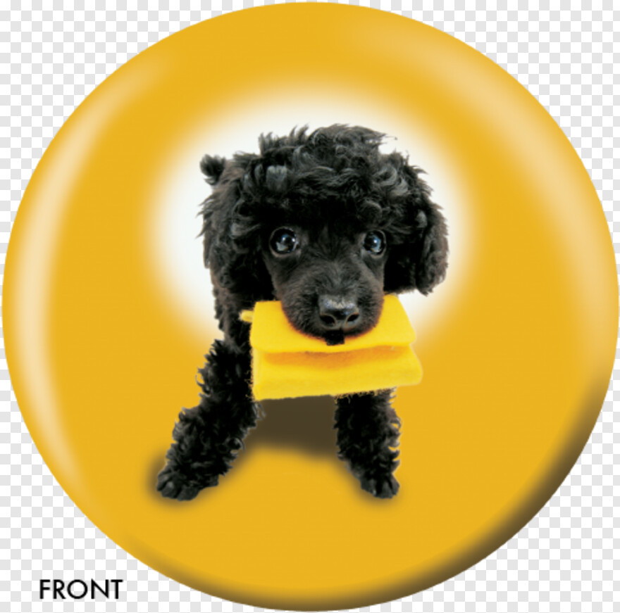  Dog Paw Print, Dragon Ball Logo, Hot Dog, Cute Dog, Bowling Ball, Funny Dog