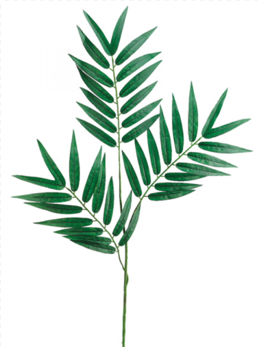palm-tree-leaf # 315135