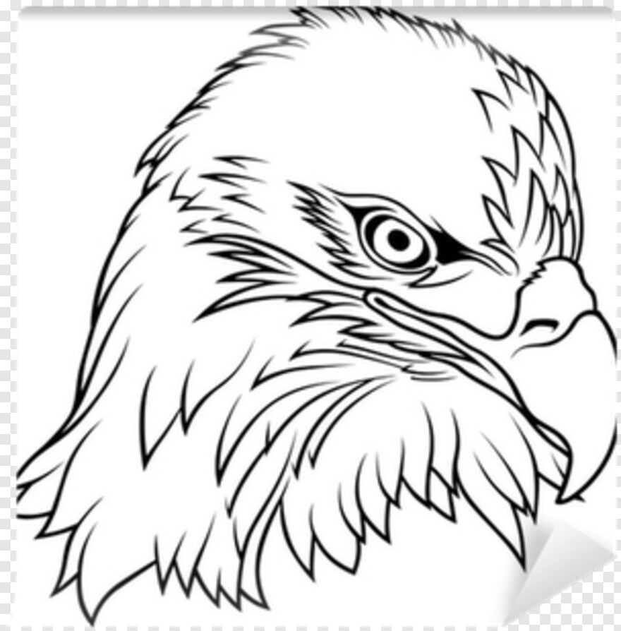 eagle-head # 877892