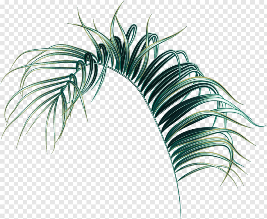 palm-leaf # 722158