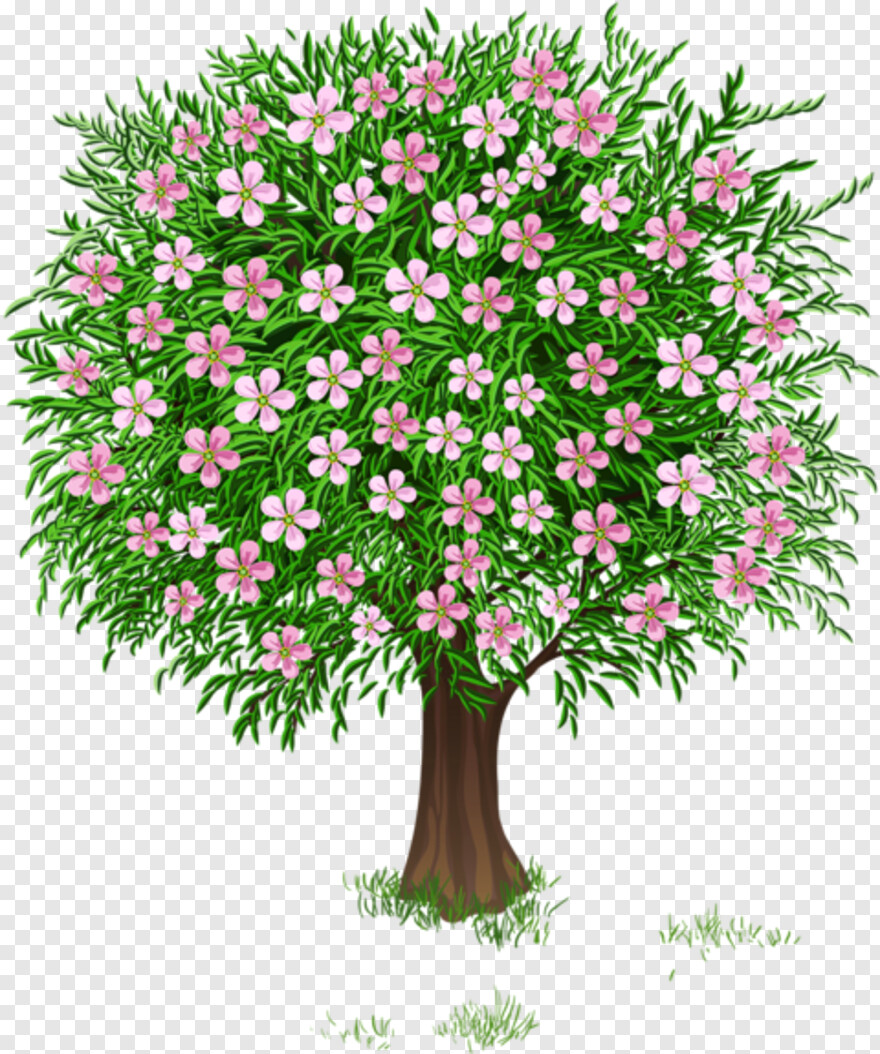 Цветущее дерево для детей