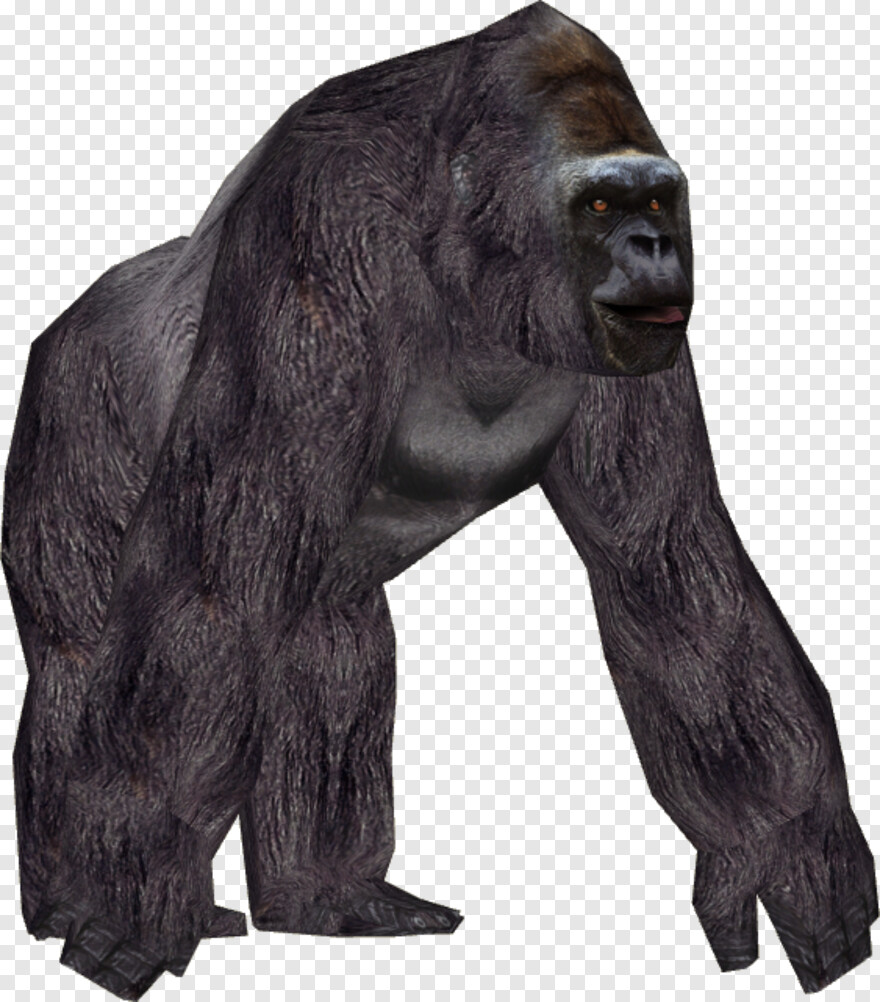 gorilla-face # 788511