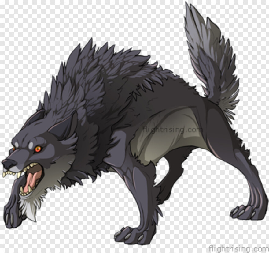 Wolf, Wolf Eyes, Wolf Silhouette, White Wolf, Wolf Face, Black Wolf #850278...