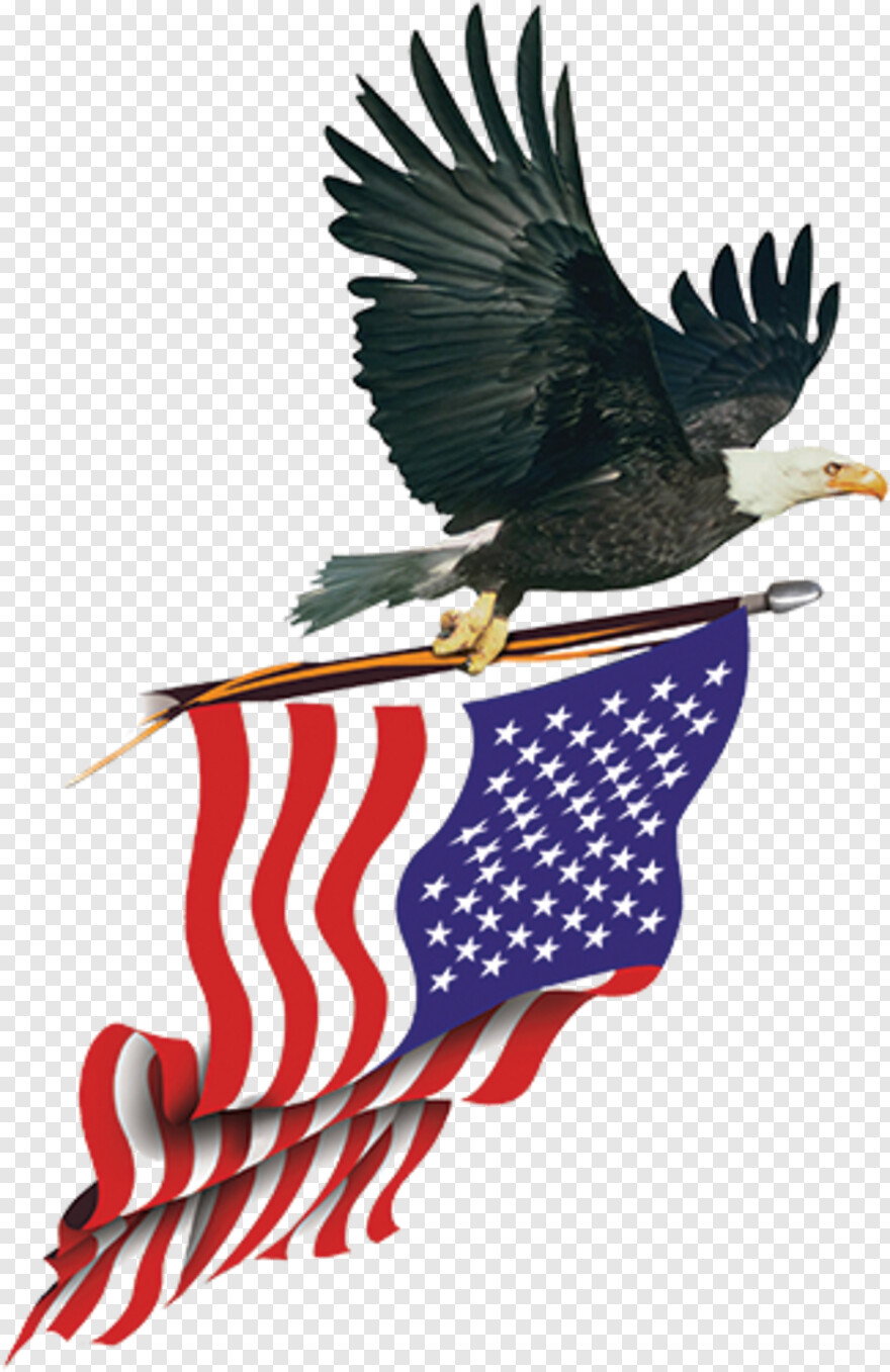 american-flag # 525390