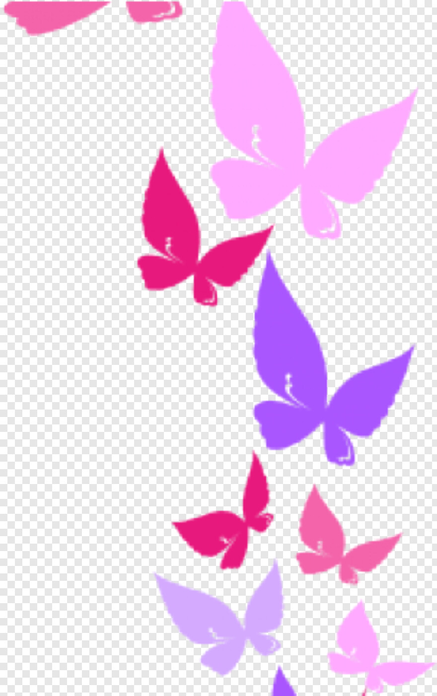 pink-butterfly # 329290