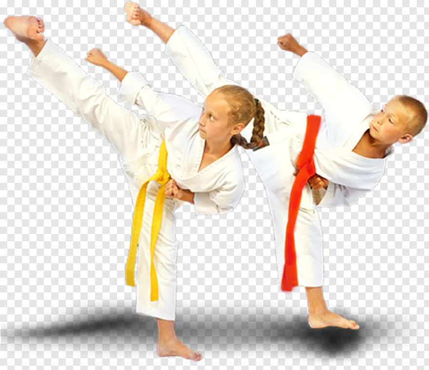 karate # 480693