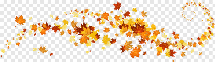 fall-leaves-border # 985670