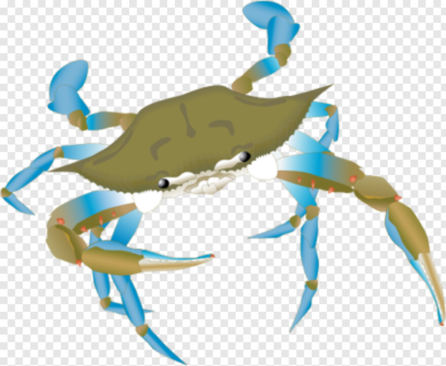 blue-crab # 343406