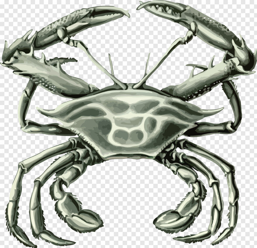 blue-crab # 477960