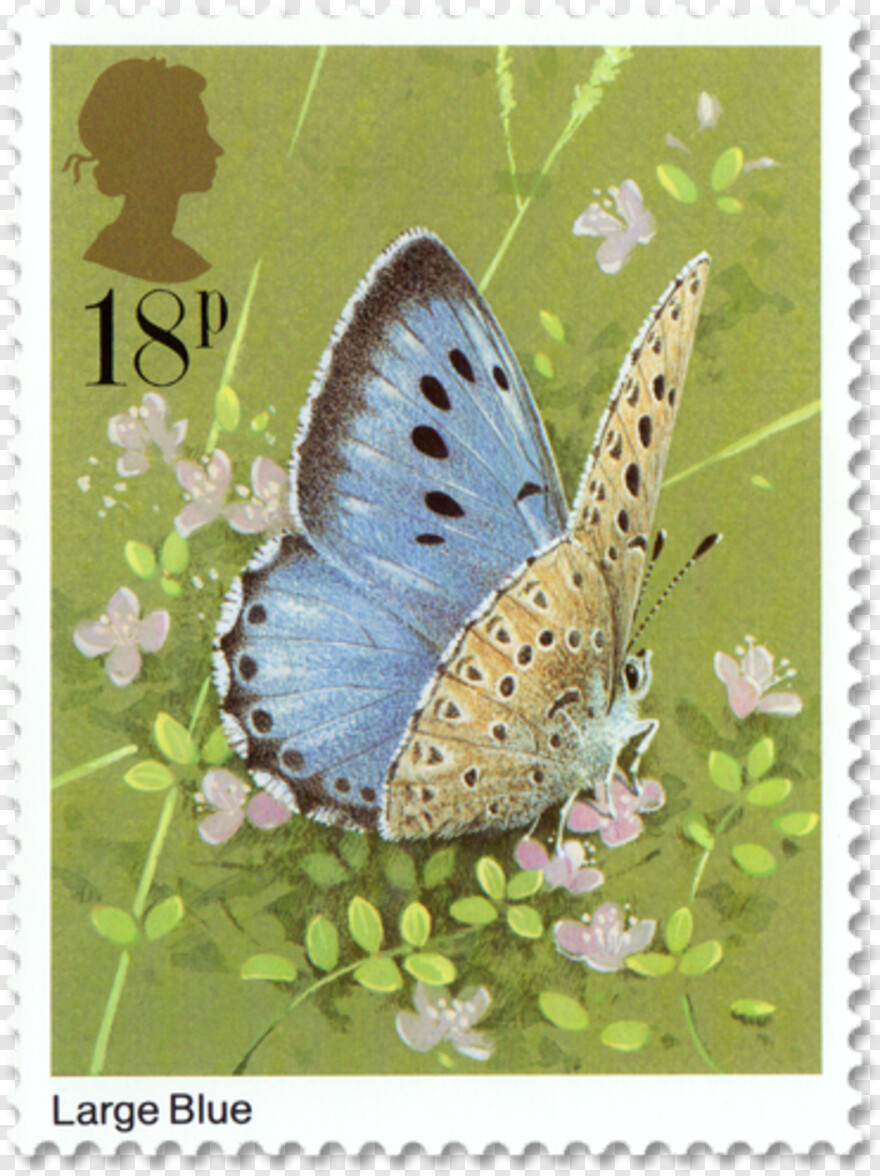 mail-stamp # 343521
